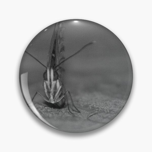 Item preview, Gulf Fritillary Butterfly Black And White designed and sold by MercerImages.
