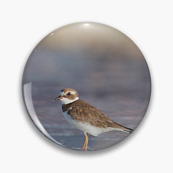 Item preview, Semipalmated Plover designed and sold by adventuresswfl.