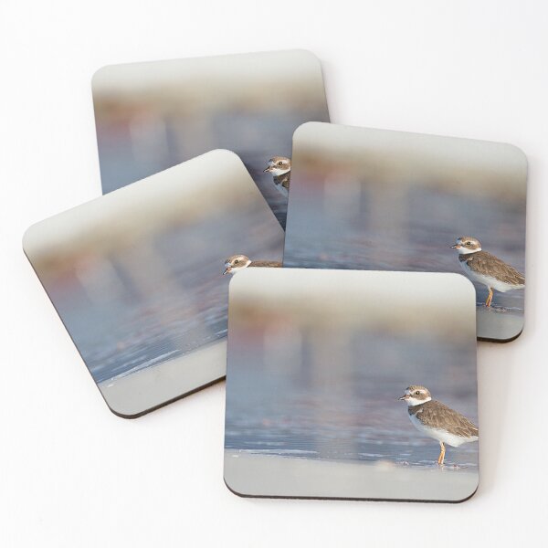 Item preview, Semipalmated Plover designed and sold by adventuresswfl.