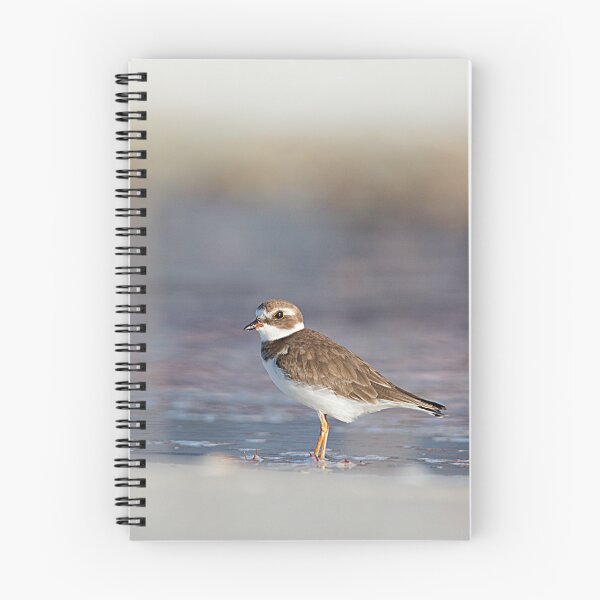 Item preview, Semipalmated Plover designed and sold by adventuresswfl.