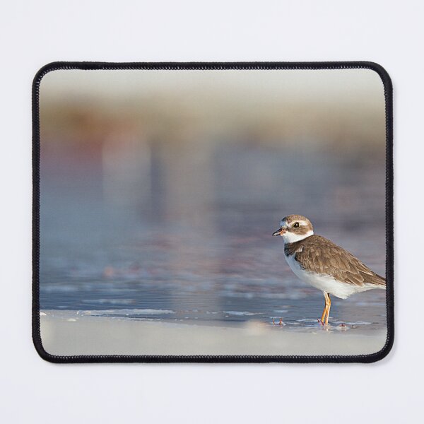 Item preview, Semipalmated Plover designed and sold by adventuresswfl.