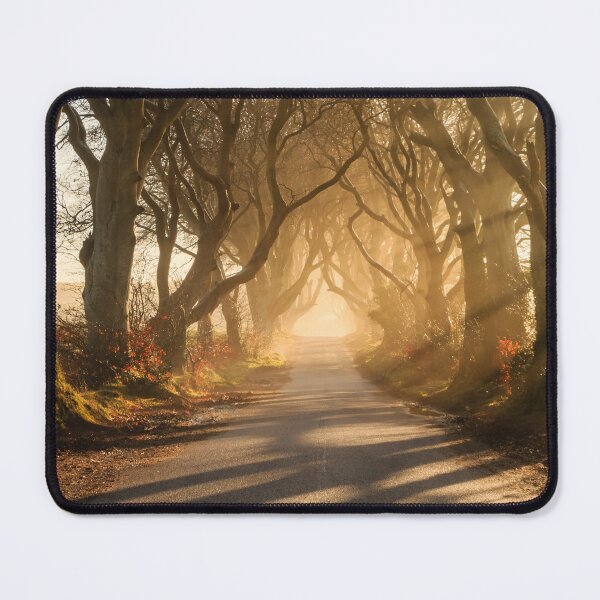 Item preview, The Dark Hedges designed and sold by Adrian McGlynn.