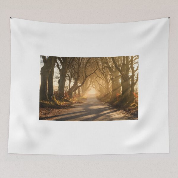 Item preview, The Dark Hedges designed and sold by Adrian McGlynn.
