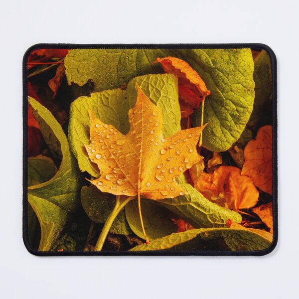 Item preview, Autumn Leaves on the ground designed and sold by FlyingLilly.