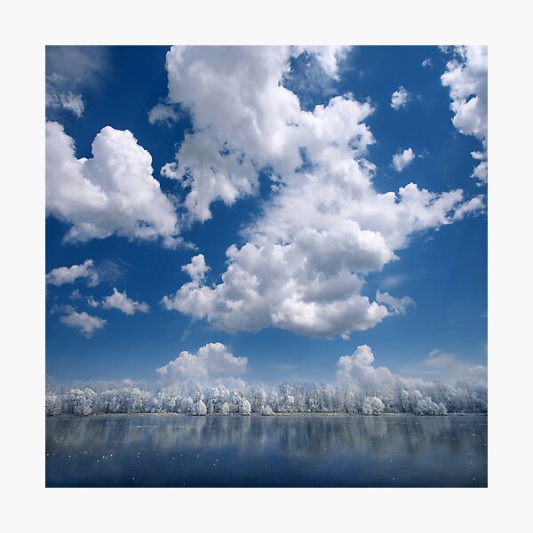 Item preview, Cotton Sky designed and sold by Philippe Sainte-Laudy.