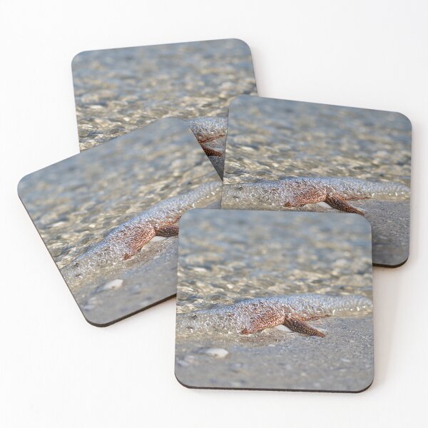 Item preview, Forbes’ Sea Star designed and sold by adventuresswfl.
