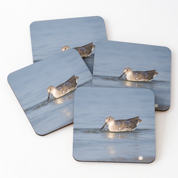Item preview, Willet designed and sold by adventuresswfl.
