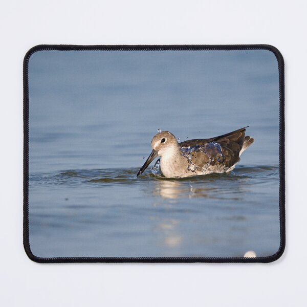 Item preview, Willet designed and sold by adventuresswfl.