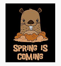 Groundhog Day Spring is Coming Photographic Print