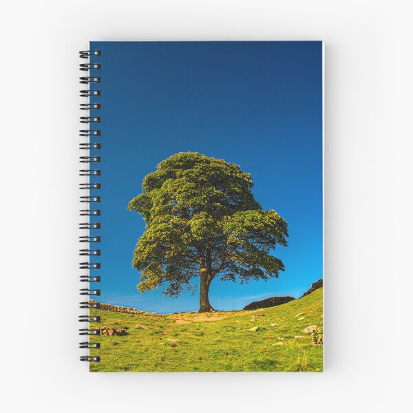 Item preview, Sycamore Gap, in Memoriam designed and sold by Brian Shaw.
