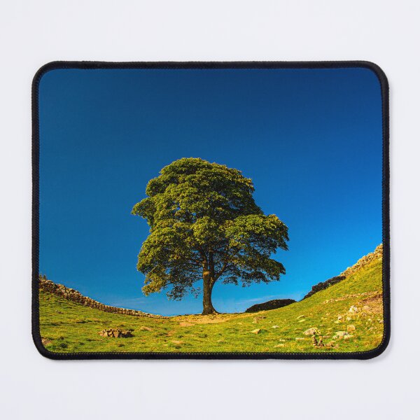 Item preview, Sycamore Gap, in Memoriam designed and sold by Brian Shaw.