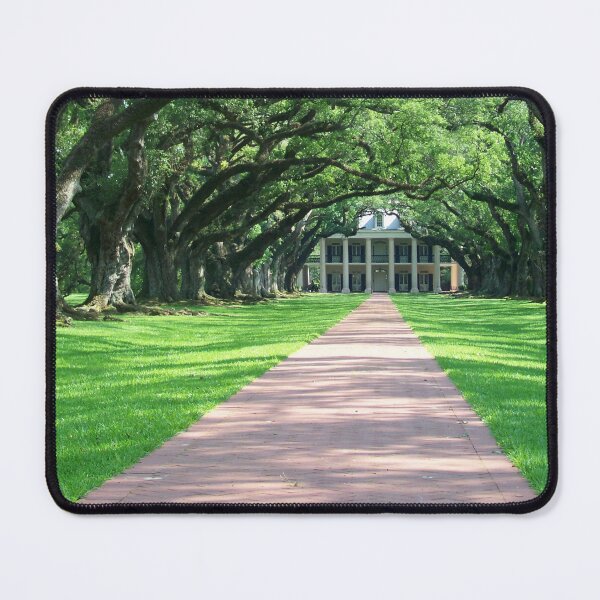 Item preview, Dappled Sunlight at Oak Alley designed and sold by okomedesign.
