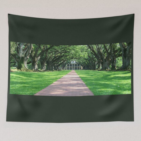 Item preview, Dappled Sunlight at Oak Alley designed and sold by okomedesign.