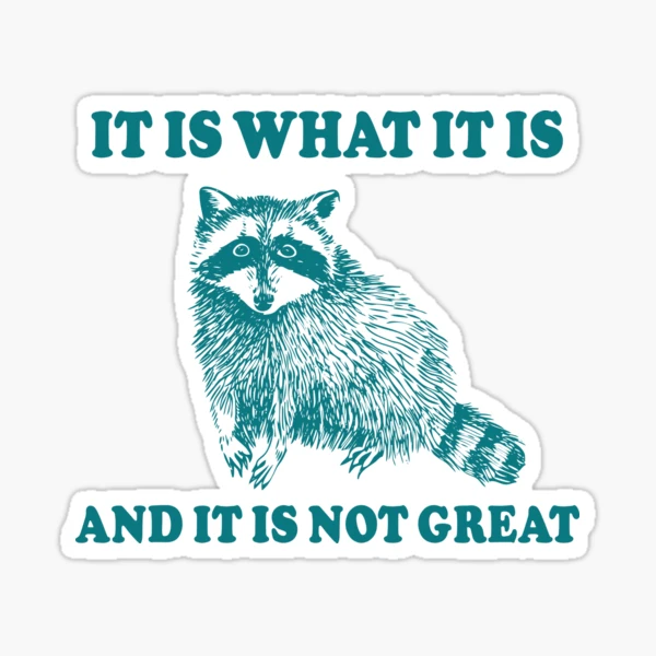 Lustiger Waschbär-Meme Aufkleber – 'It Is What It Is' Vinyl, Wasserdicht