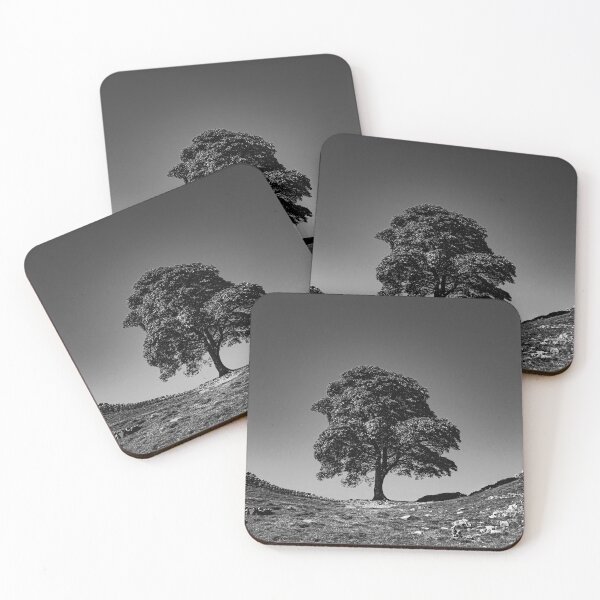 Item preview, Sycamore Gap, in Memoriam - B-W designed and sold by Brian Shaw.