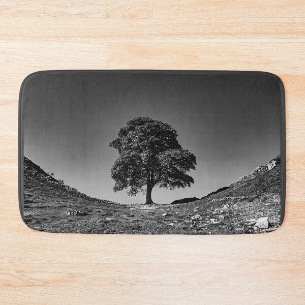 Item preview, Sycamore Gap, in Memoriam - B-W designed and sold by Brian Shaw.