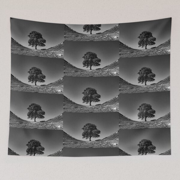 Item preview, Sycamore Gap, in Memoriam - B-W designed and sold by Brian Shaw.