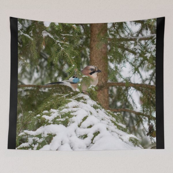 Item preview, Hiding somewhere. Eurasian jay designed and sold by Jouko Lehto Photography.