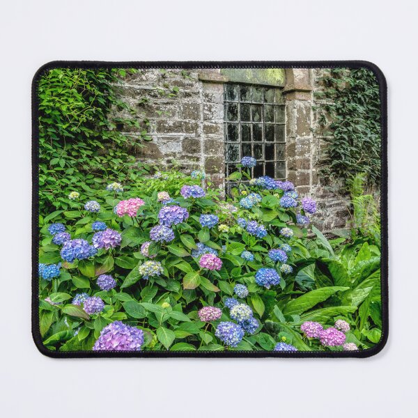Item preview, Beautiful Blooming Hydrangeas designed and sold by AJEvans.