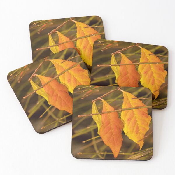 Item preview, Last Stage of Autumn's Glory designed and sold by Gerda Grice Photography.