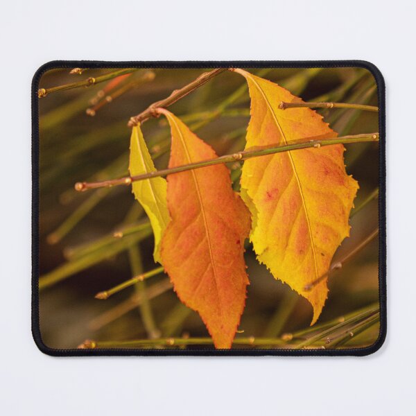 Item preview, Last Stage of Autumn's Glory designed and sold by Gerda Grice Photography.