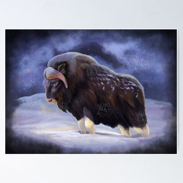 Item preview, Musk Oxen painting 1 of 2 designed and sold by AK-Hevonen.