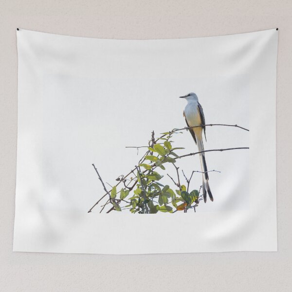Item preview, Scissor-tailed Flycatcher The Oklahoma State Bird designed and sold by Debra Martz.