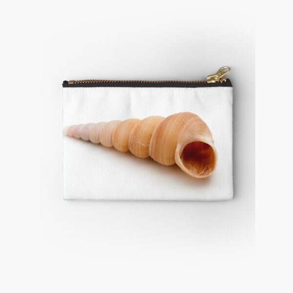 Item preview, Seashell designed and sold by troianifabrizio.