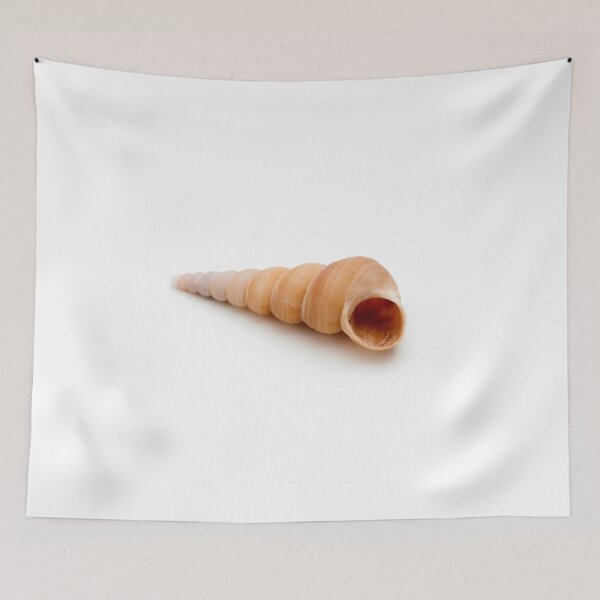 Item preview, Seashell designed and sold by troianifabrizio.