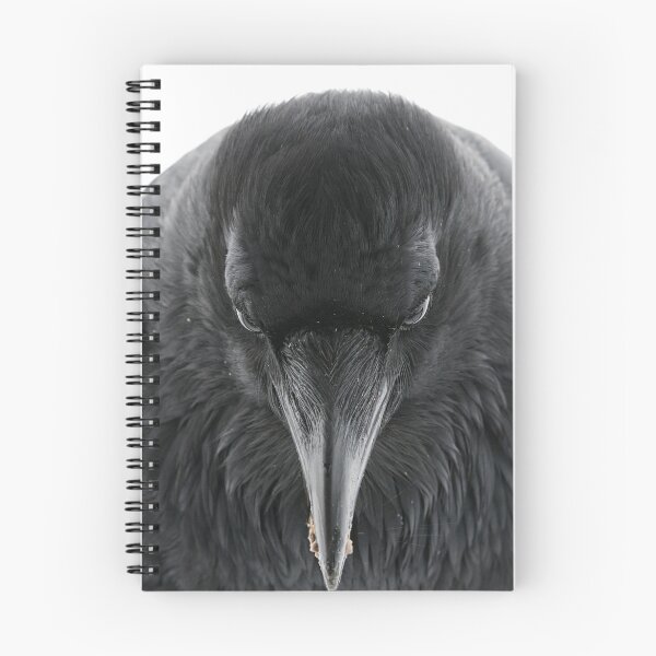 Item preview, Raven Face designed and sold by DWMMPhotography.