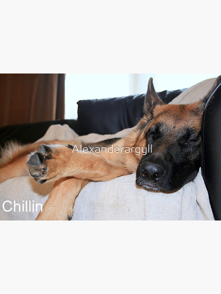 Chillin by Alexanderargyll