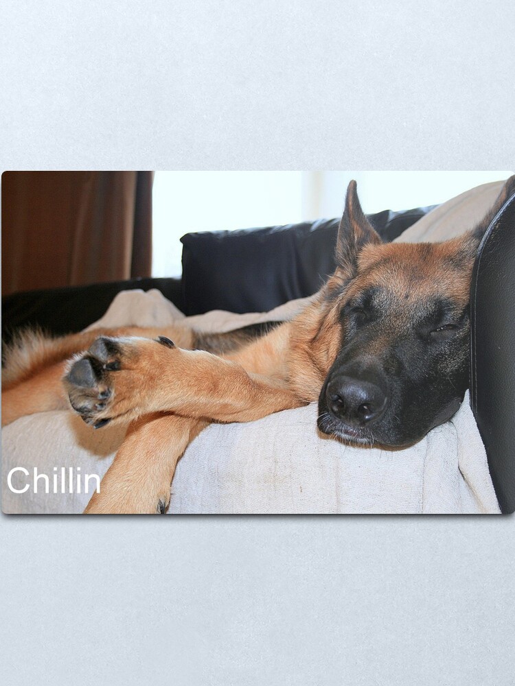 Alternate view of Chillin Metal Print
