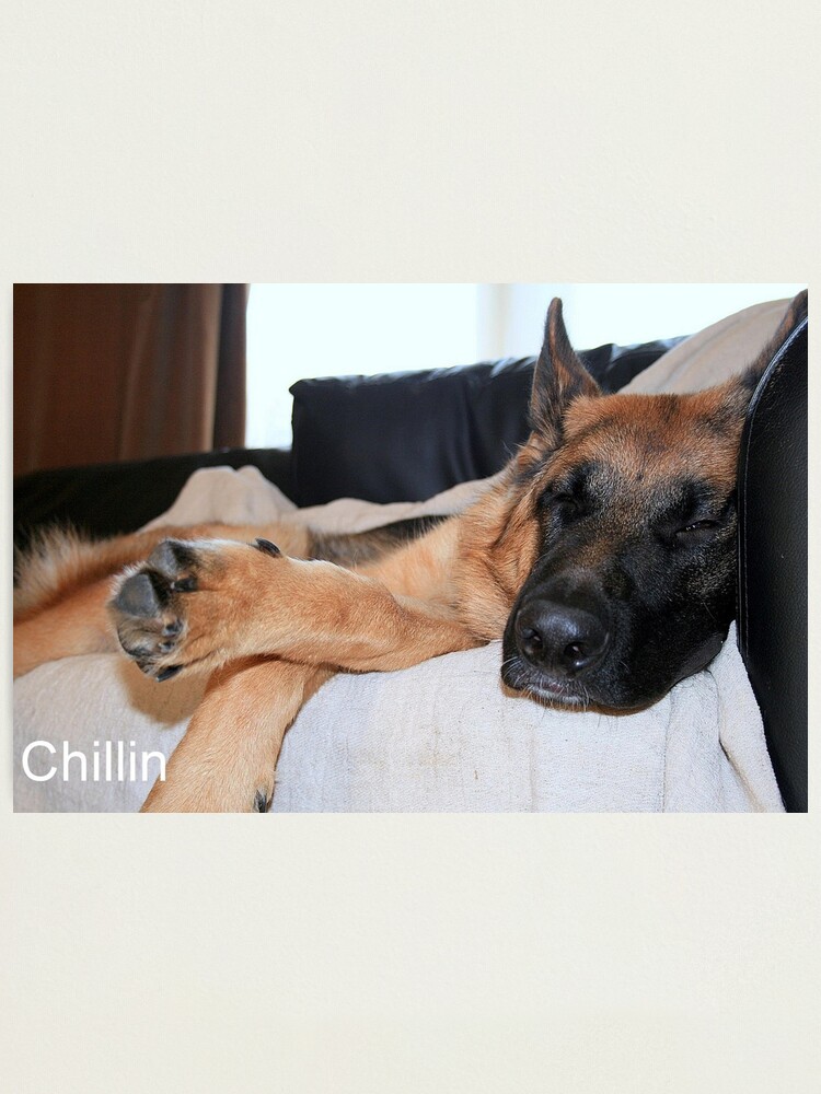 Alternate view of Chillin Photographic Print