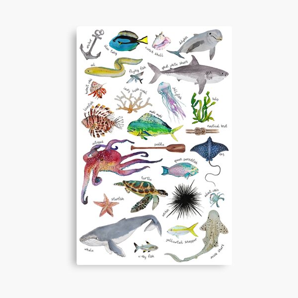 Item preview, Under the Sea Alphabet designed and sold by theKindredPines.