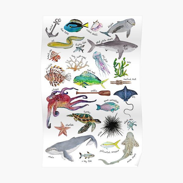 Under the Sea Alphabet Poster