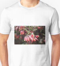 Pouched Grevillea (G. saccata) Unisex T-Shirt