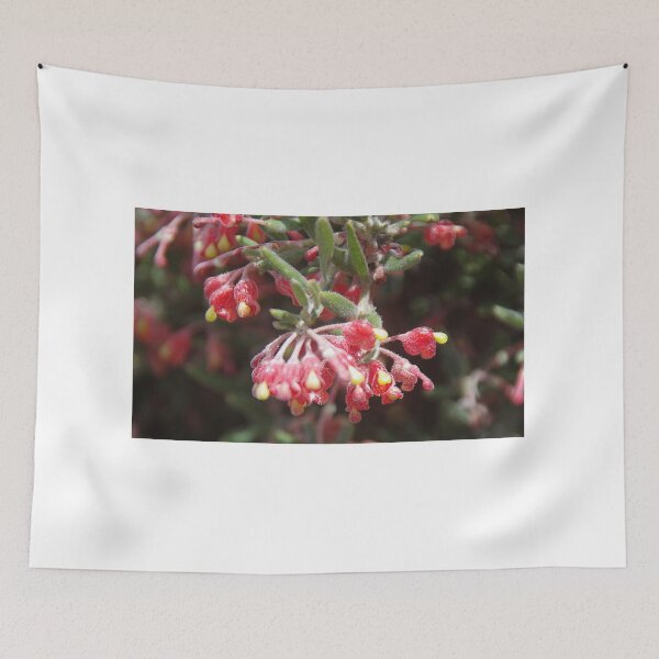 Item preview, Pouched Grevillea (G. saccata) designed and sold by lezvee.