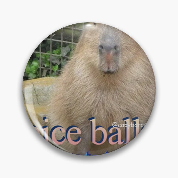 Item preview, Nice Balls Capybara Meme designed and sold by capybaratext.