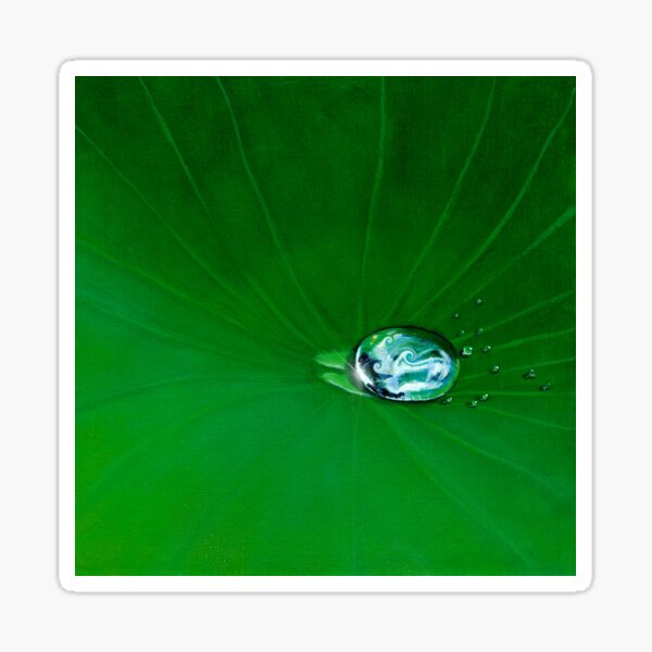Look Closely - Water Drop Wave Sticker
