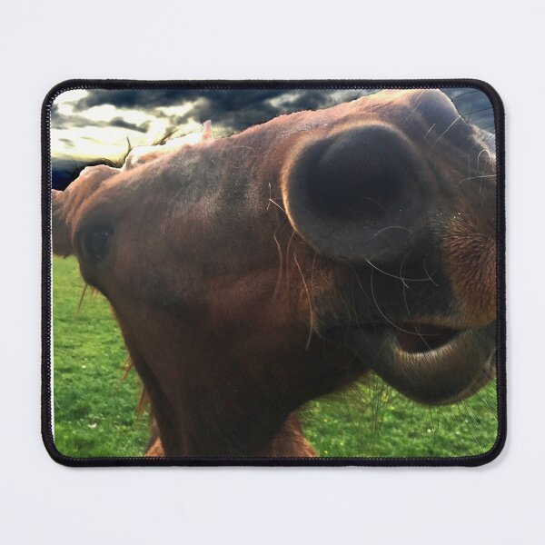 Item preview, Horsin' around designed and sold by Daveidaho.