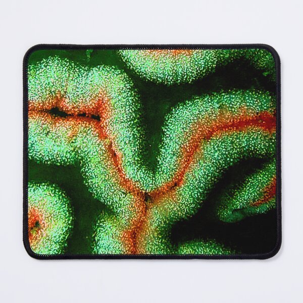 Item preview, Coral maze designed and sold by amosgazit.