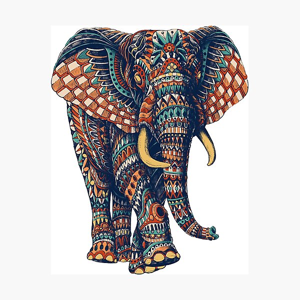 Ornate Elephant v2 (Farbversion) Fotodruck