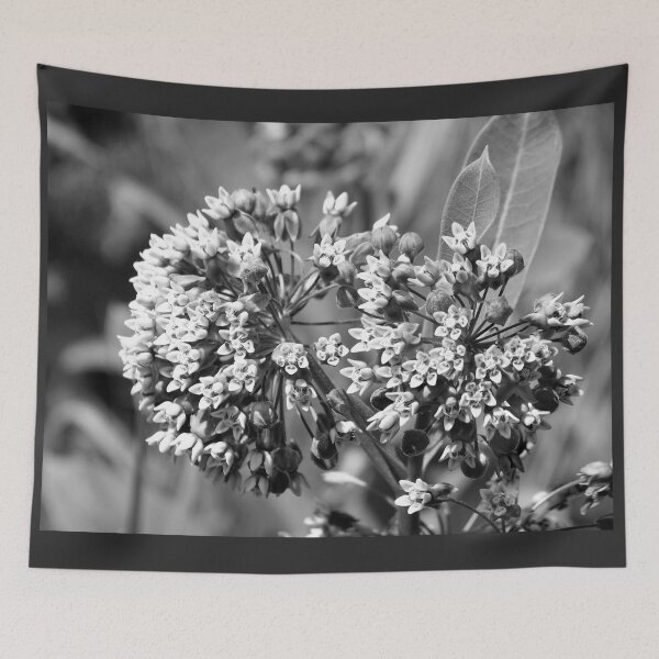 Item preview, milkweed designed and sold by okomedesign.