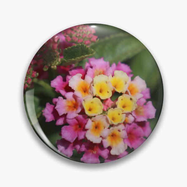Item preview, pink flowers macro .  designed and sold by diana rogagels.