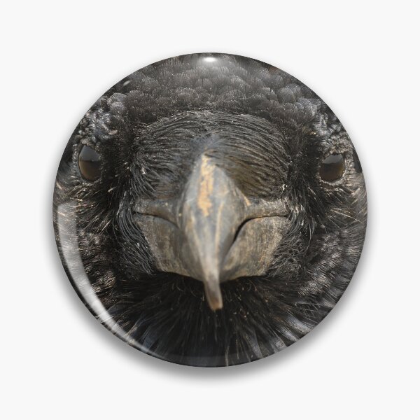 Item preview, Raven Face designed and sold by DWMMPhotography.