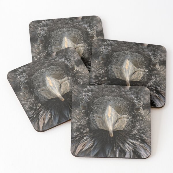 Item preview, Raven Face designed and sold by DWMMPhotography.