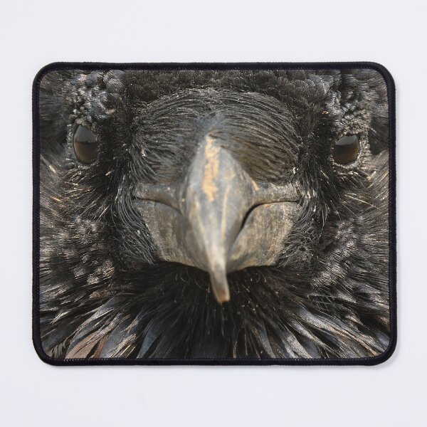 Item preview, Raven Face designed and sold by DWMMPhotography.