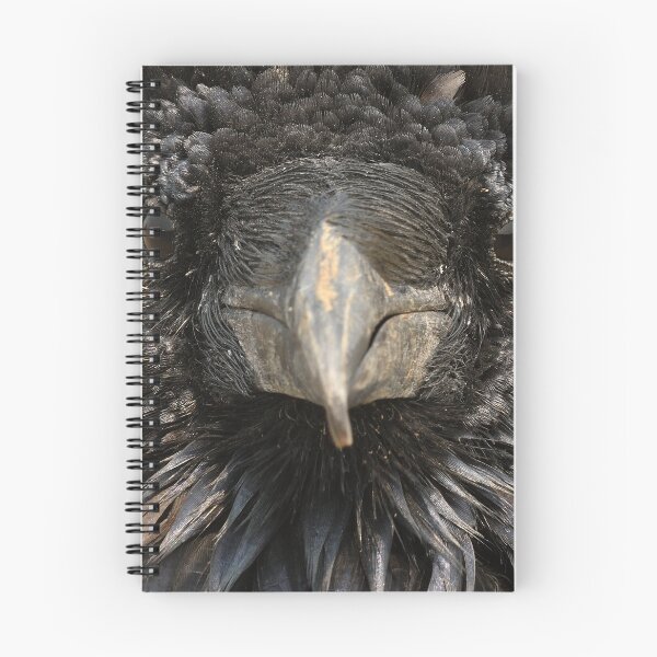 Item preview, Raven Face designed and sold by DWMMPhotography.
