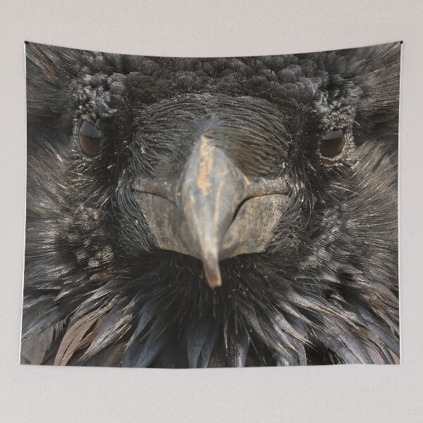 Item preview, Raven Face designed and sold by DWMMPhotography.
