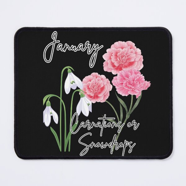 Item preview, January Carnations and Snowdrops designed and sold by TxTaurus110.
